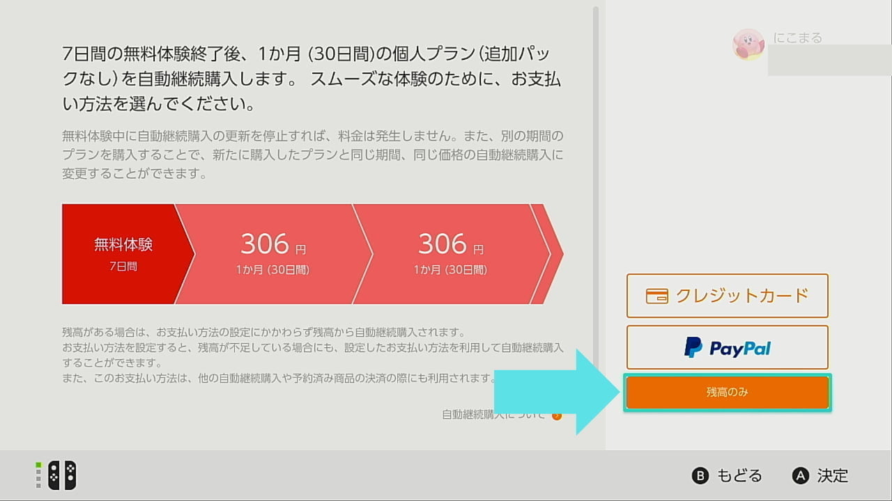 Nintendo Switch Onlineの支払い方法の選択画面